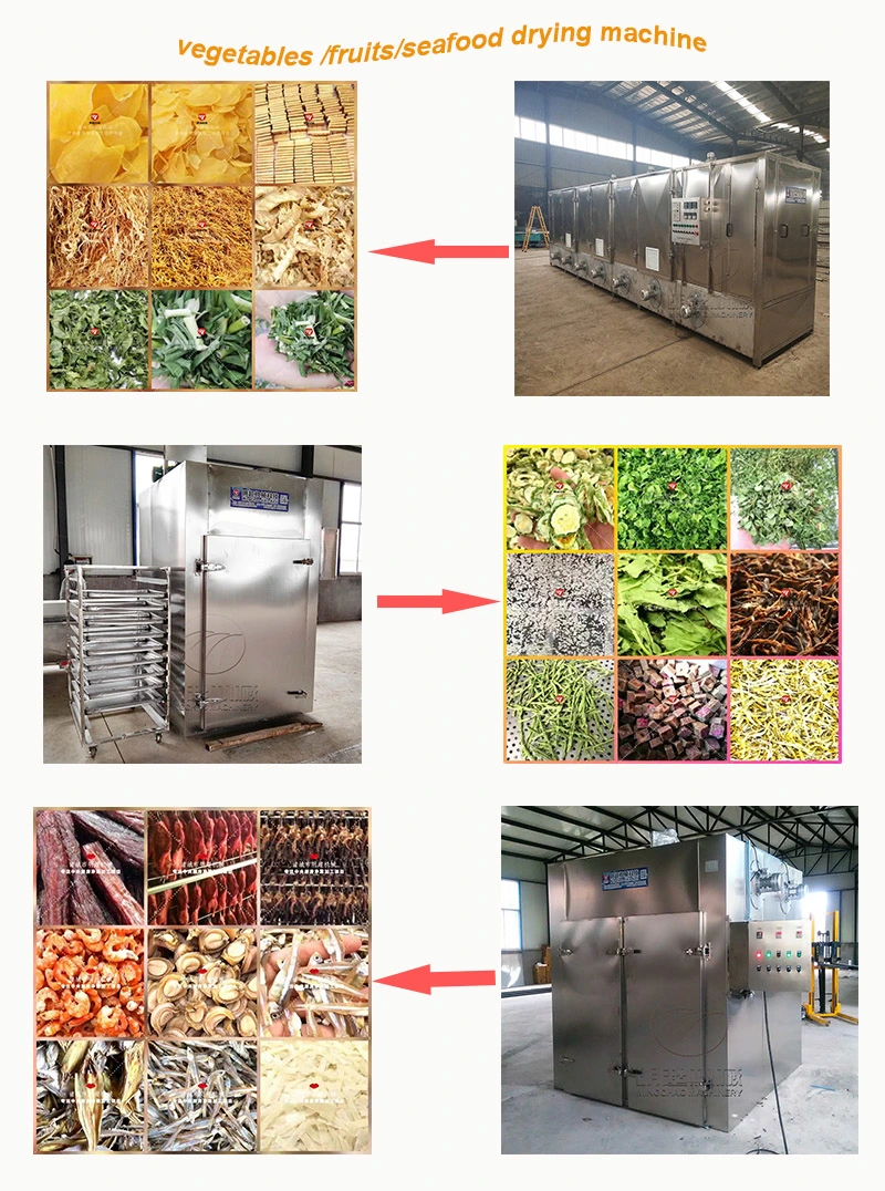 Hot Air Stainless Steel Food Drying Machine From China